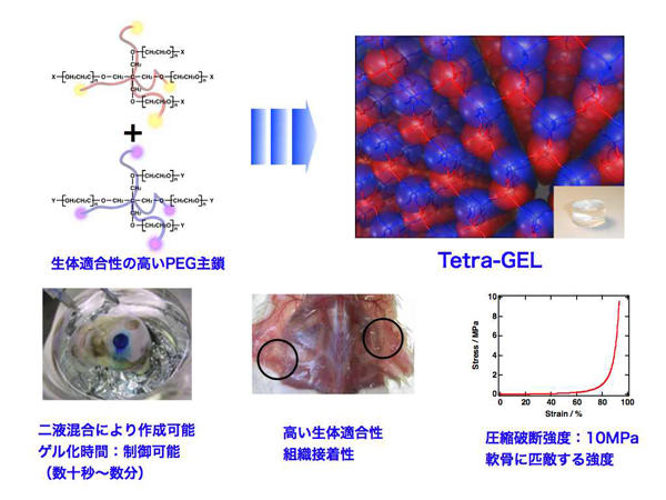 TetraPEG_web_J.jpg